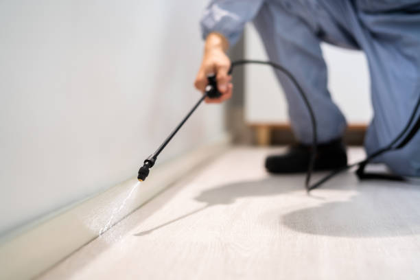Licensed Rodent Control service in Catlin, IL - Nex Pest Control