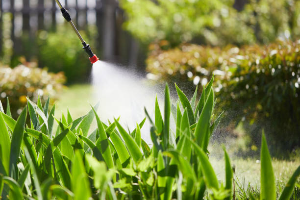 24/7 Emergency Rodent Control experts in Catlin, IL